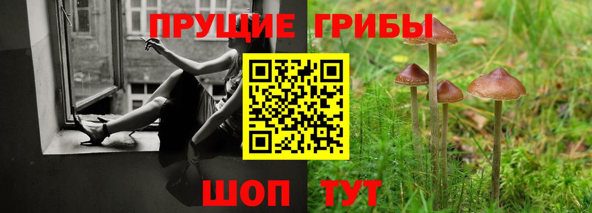 Галлюциногенные грибы GOLDEN TEACHER Санкт-Петербург