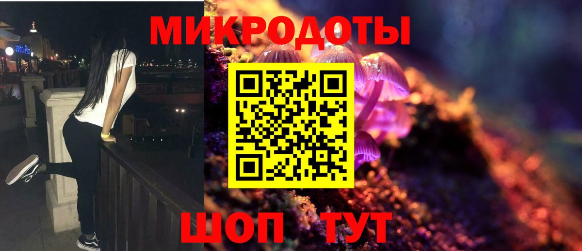 Санкт-Петербург  Галлюциногенные грибы Psilocybine cubensis  Вход с VPN 